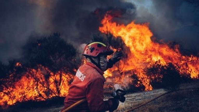 Denuncian que los incendios del 2017 fueron planeados