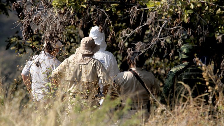 Hallan 11 cuerpos en una fosa común en México