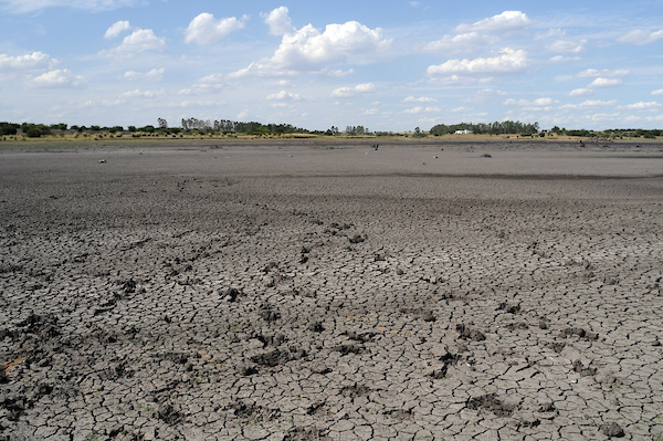 Uruguay decreta emergencia agropecuaria por la sequía