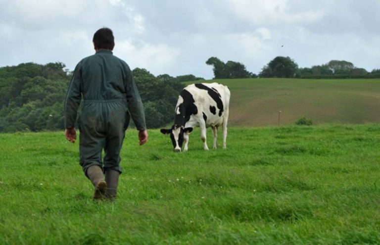 Franceses responden a pedido de auxilio de los agricultores