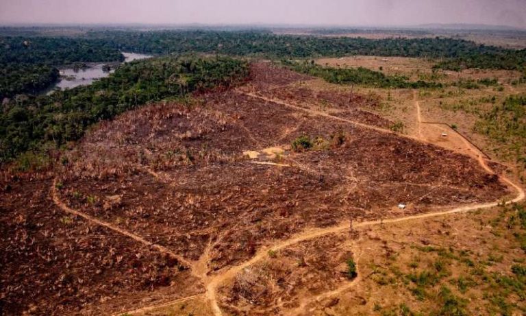 Nuevo récord de deforestación en la Amazonía brasileña