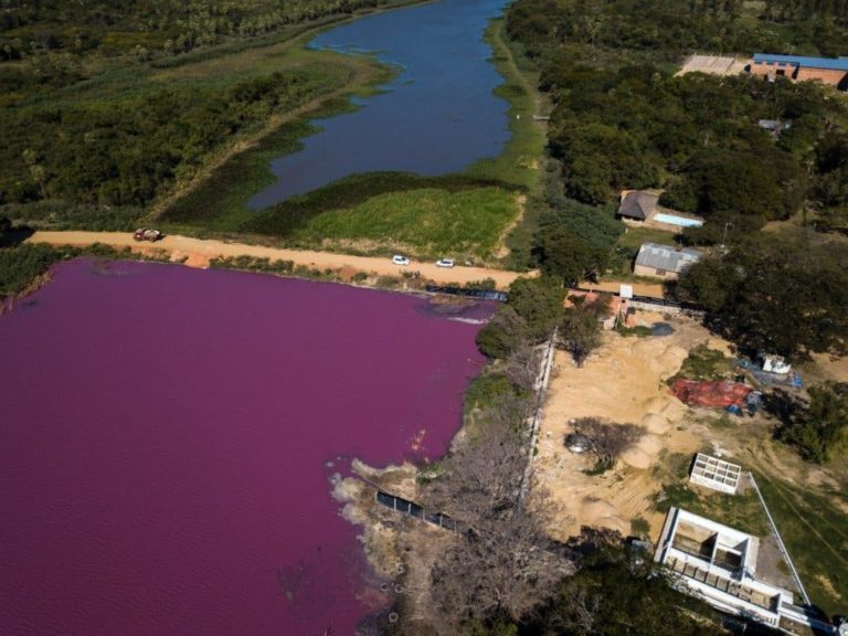 Laguna cambia de color por alto nivel de contaminación