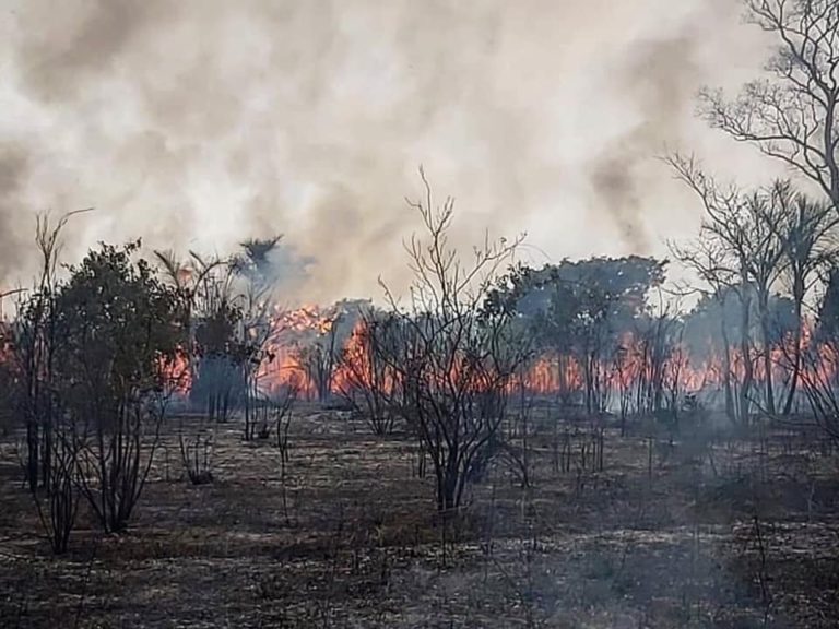 Incendios forestales llegan a reserva natural de Bolivia