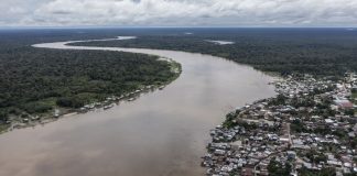 Amazonas