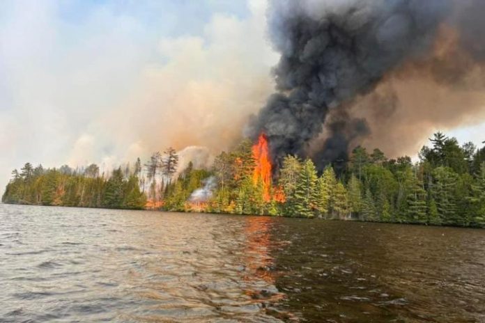 Incendios forestales