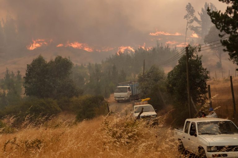 Incendios forestales queman 800 hectáreas