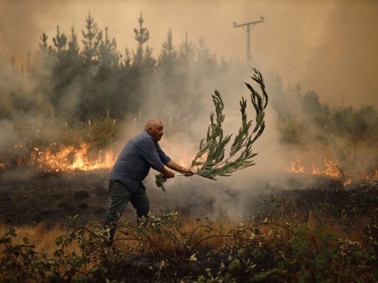 112  muertos en Chile por incendios forestales