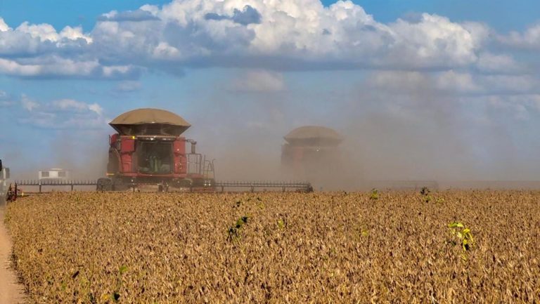 Cereales se disparan por volatilidad climática a nivel mundial