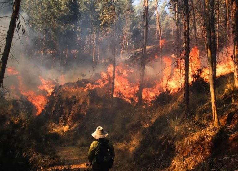 Récord de incendios forestales en Ecuador