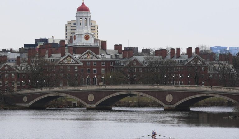 Trump congela toda nueva subvención a Universidad de Harvard