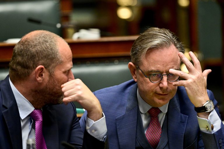 El Gobierno de Bélgica planea suprimir el Senado