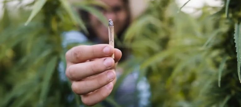 El 6% de la población adulta del mundo consume drogas
