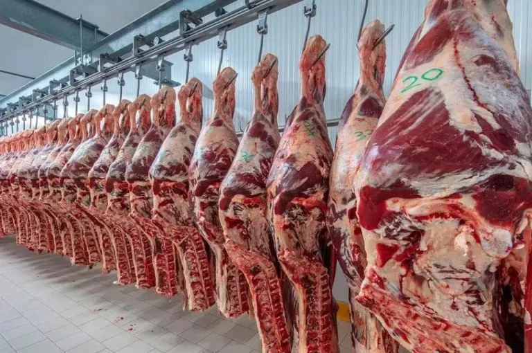 EE. UU. anuncia plan para aumentar la producción de carne vacuna y amplía el cupo de importación desde Argentina