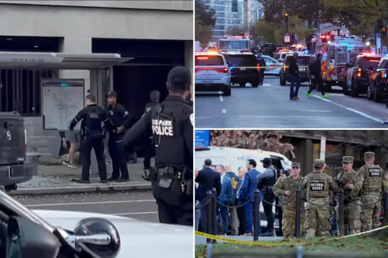 Trump promete frenar la migración desde “países del Tercer Mundo” tras el ataque en Washington