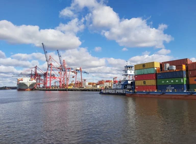 Dock Sud, una terminal estratégica bajo la lupa: seguridad, gobernanza y los vínculos políticos de su nueva presidenta